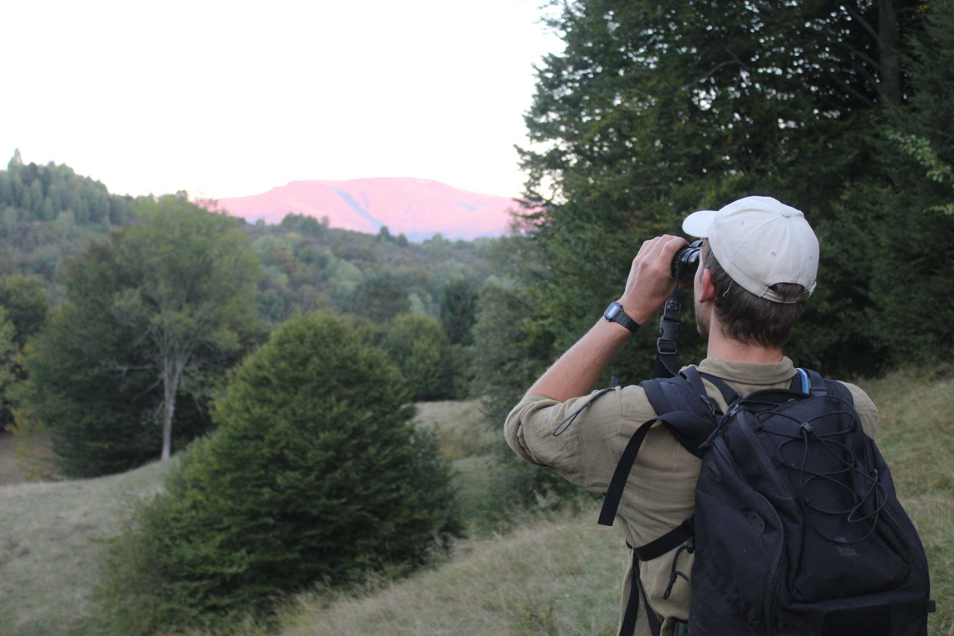 Tracking-Bison-And-Bears-In-Romania