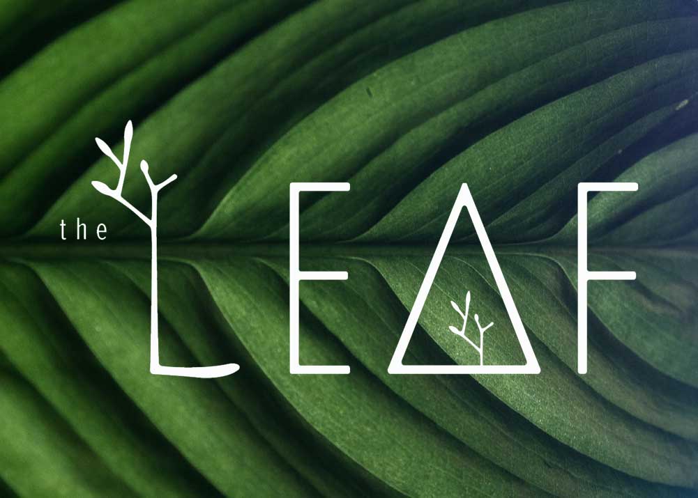 Best-Climate-Change-Charities-The-LEAF