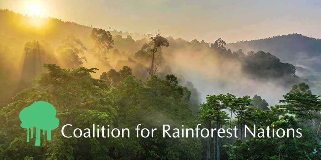 Best-Environmental-Charities-Coalition-For-Rainforest-Nations