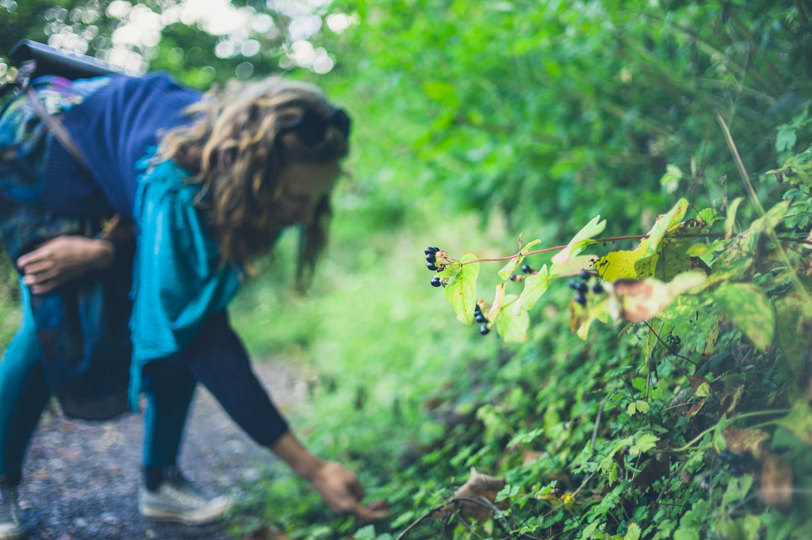 Foraging-For-Food-Microadventure