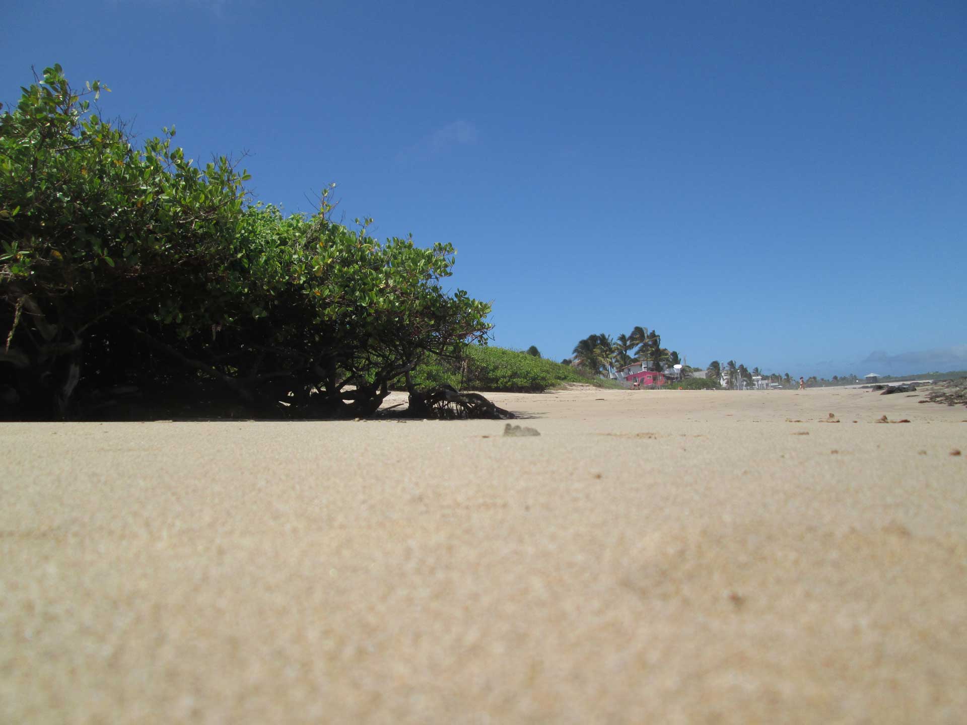 Galapagos-Islands-Adventure-Ecotourism