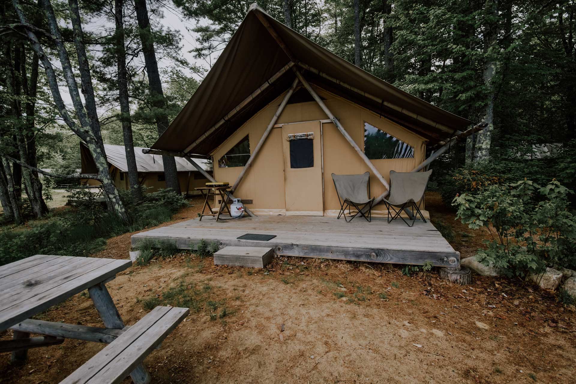 Glamping in a cabin in the woods
