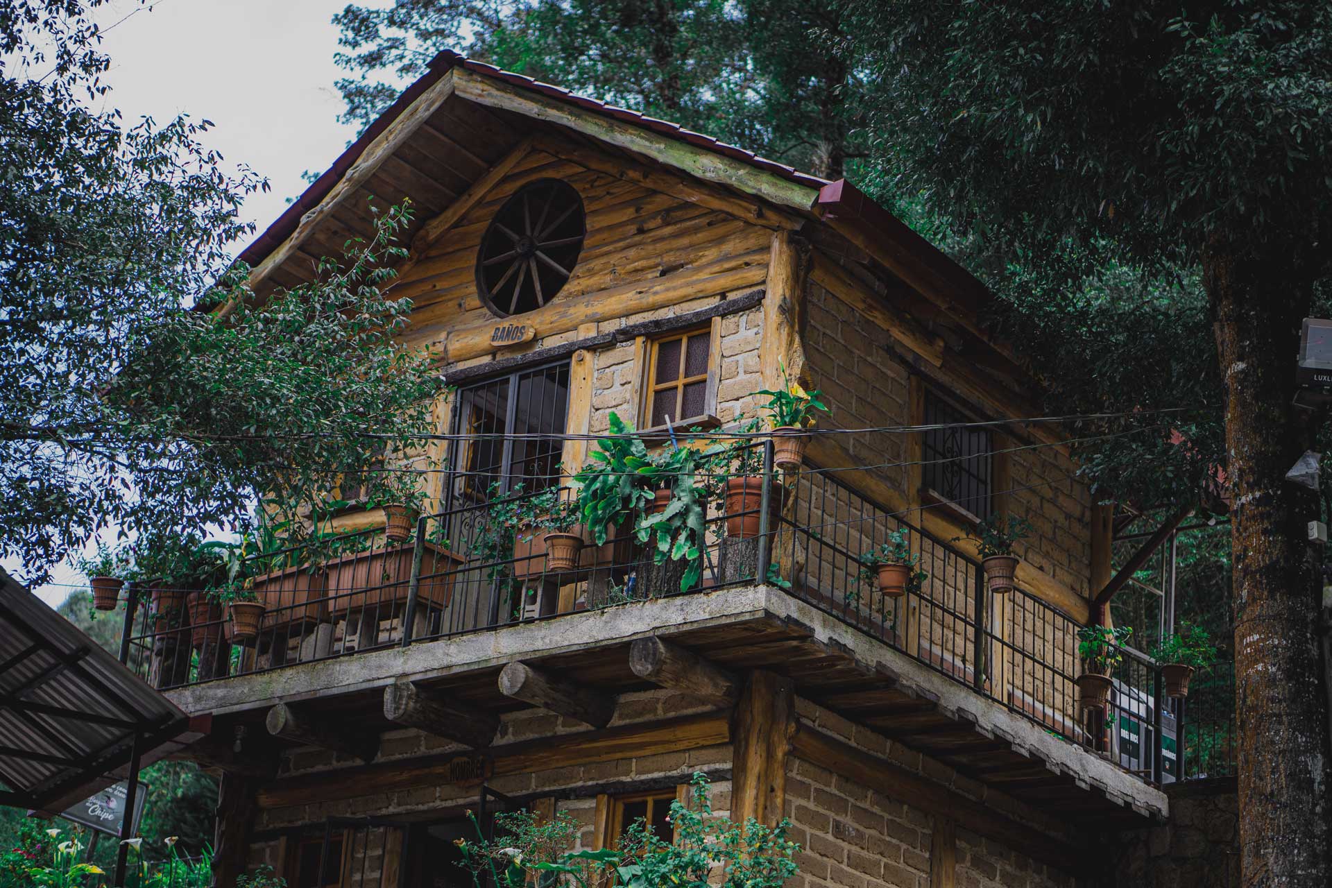 Tree House Glamping