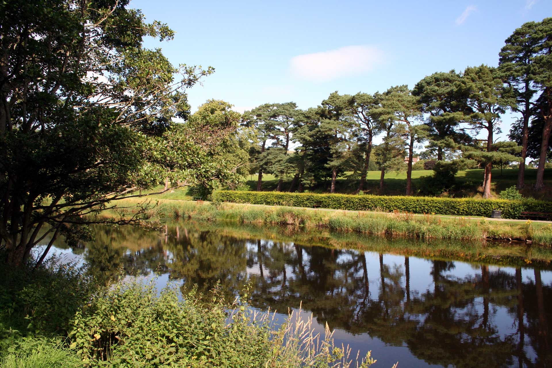 Best-walks-in-Scotland-Walking-along-the-Banks-of-the-Tweed-near-Peebles