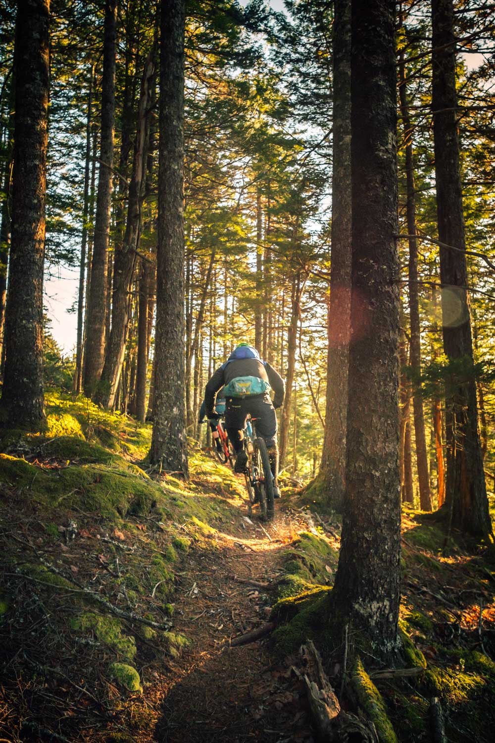 Mountain-biking-tips-for-beginners