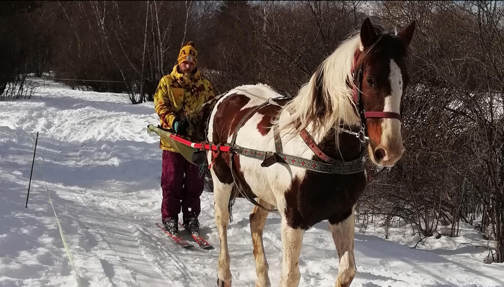 SkiJoring