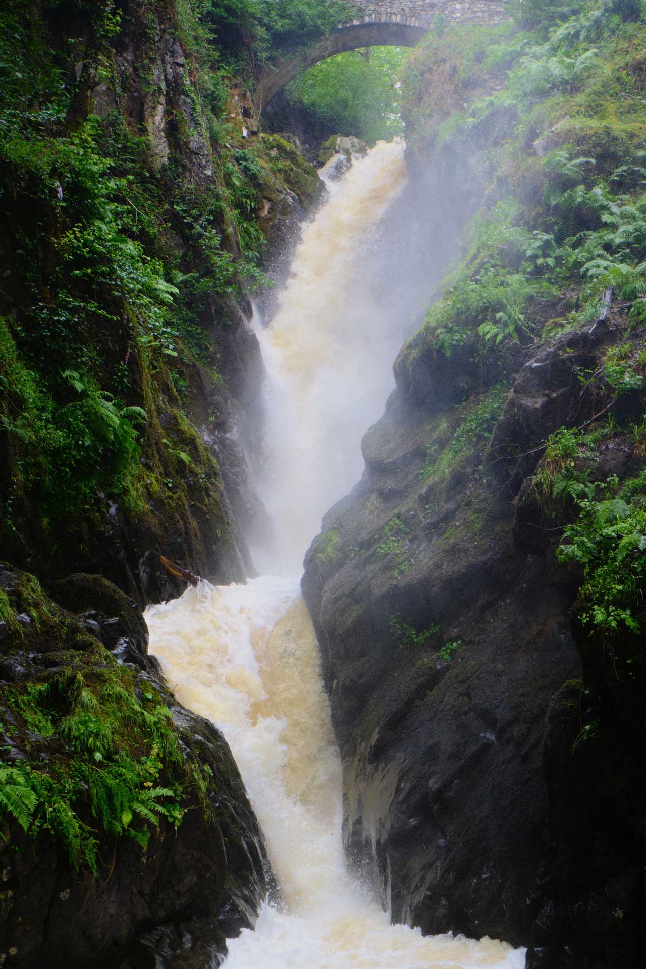 Aira Force