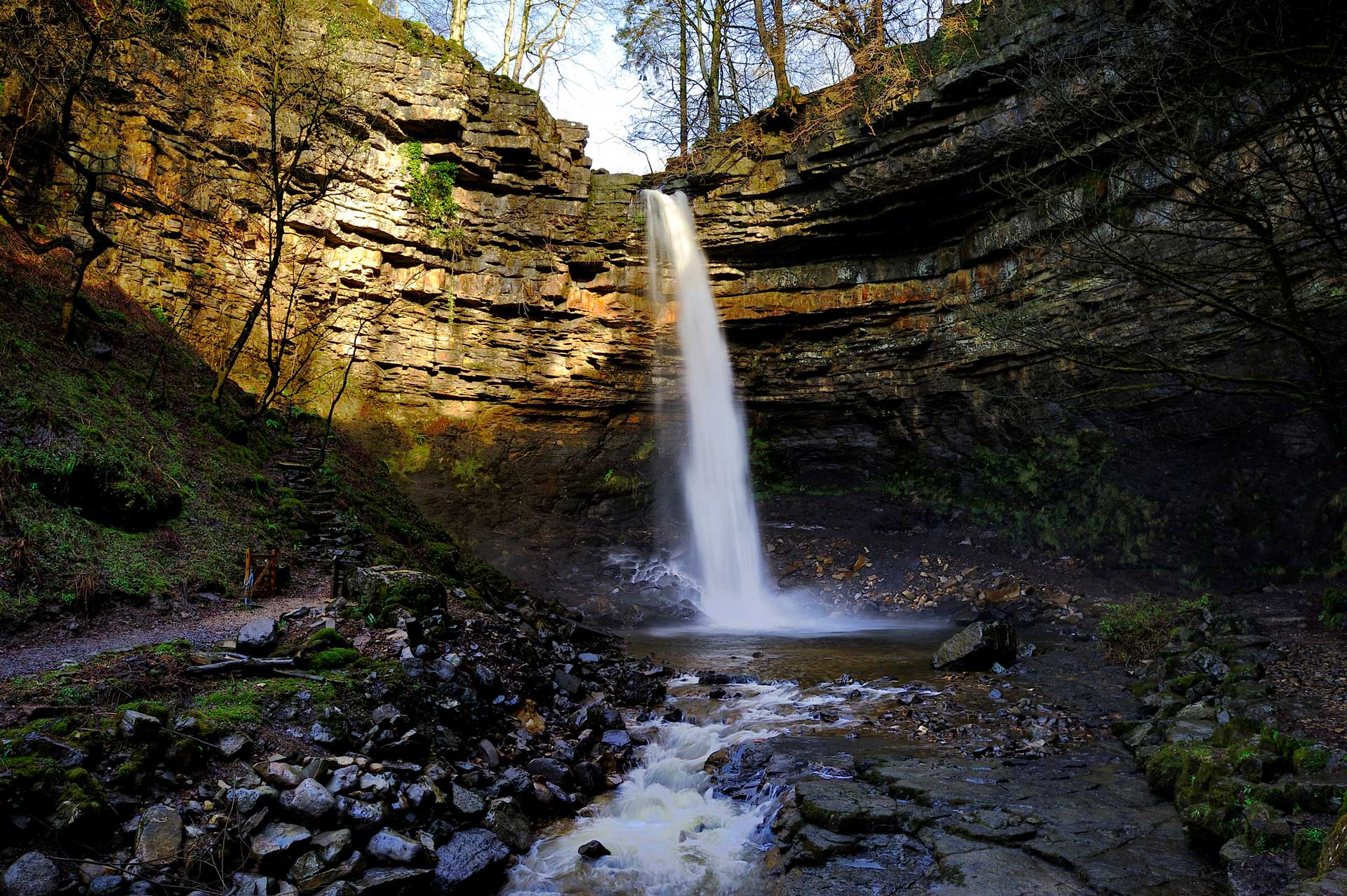 Hardraw Force