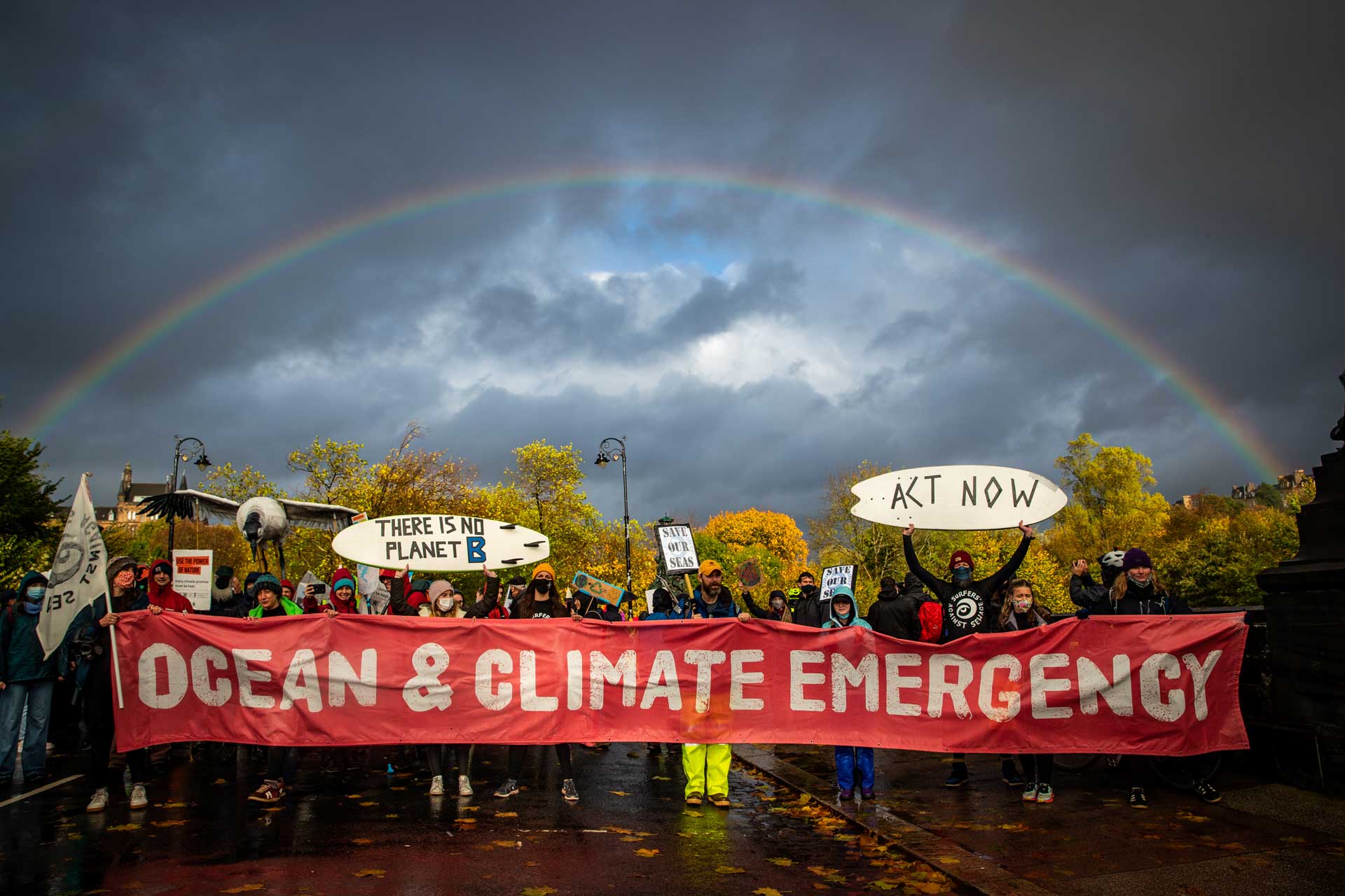 surf activism