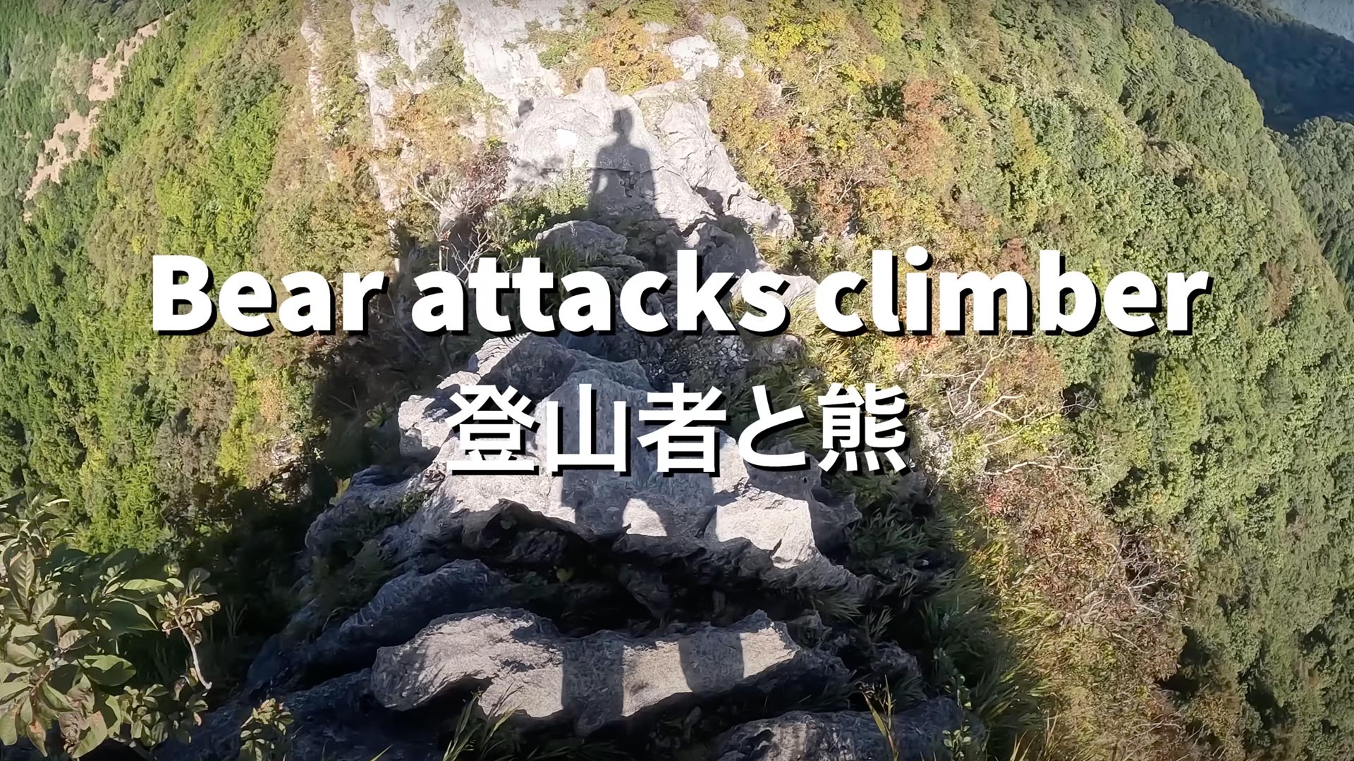 bear-attacks-climber-japan