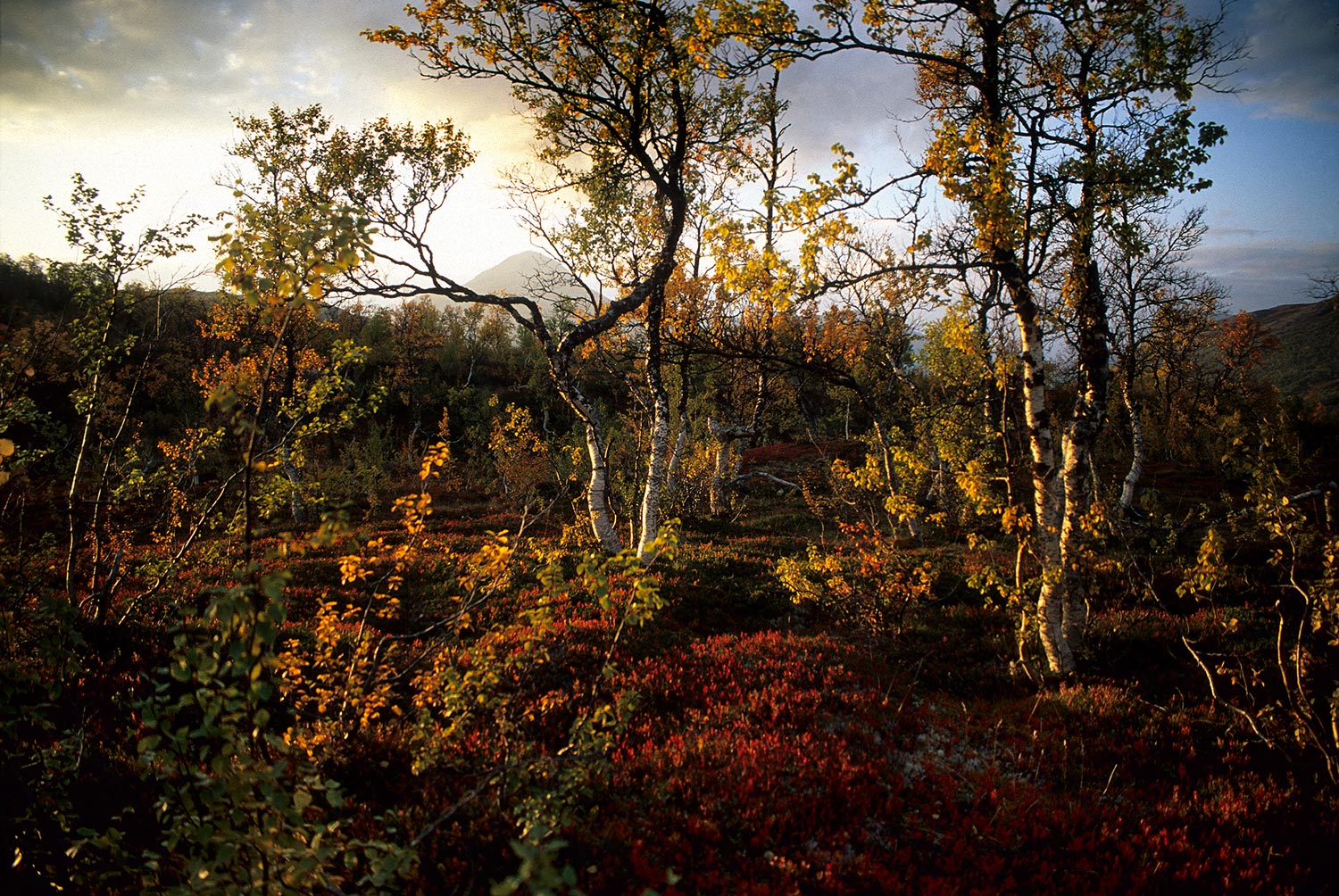 Norwegian-Arctic-September_14_1998