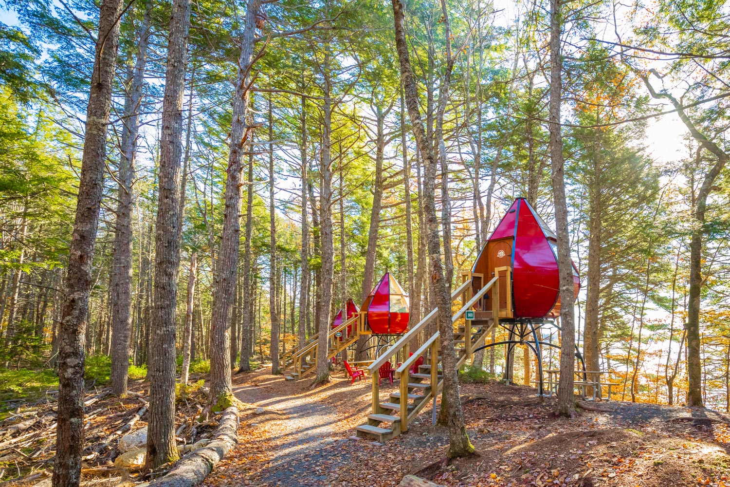 nova-scotia-camping-glamping-Oasis-Pods-Kejimkujik-National-Park