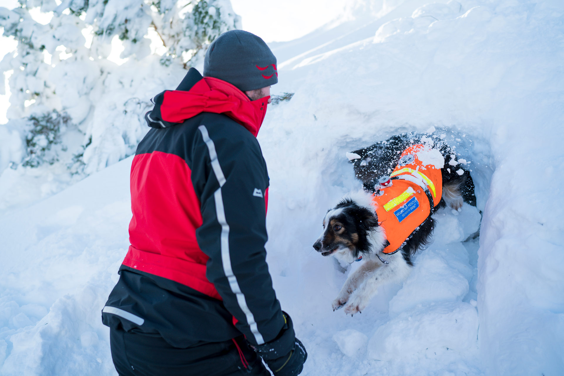 mountain-rescue-snow-dogs-hannah-bailey