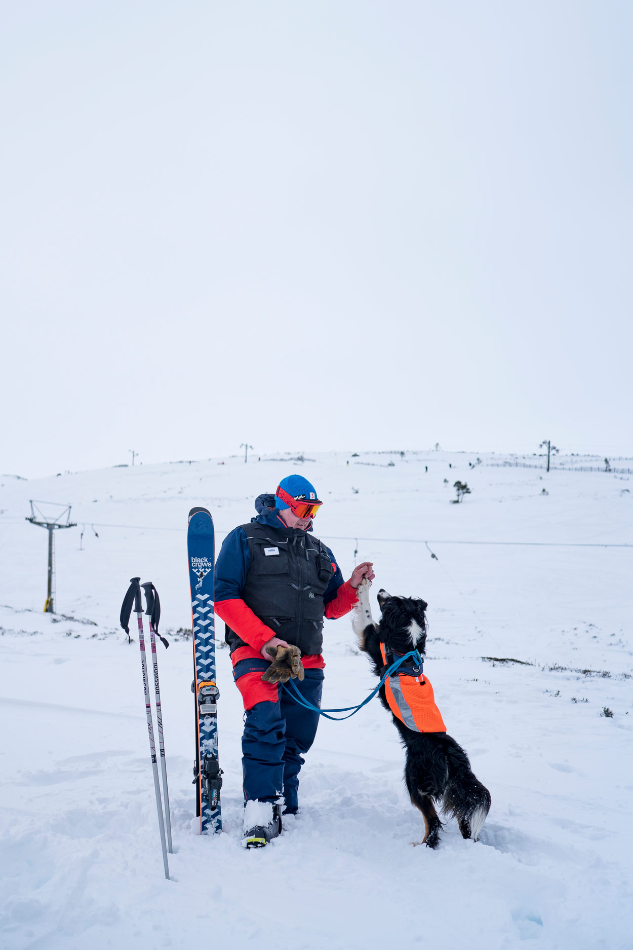 ski-touring-dogs-hannah-bailey-photographs