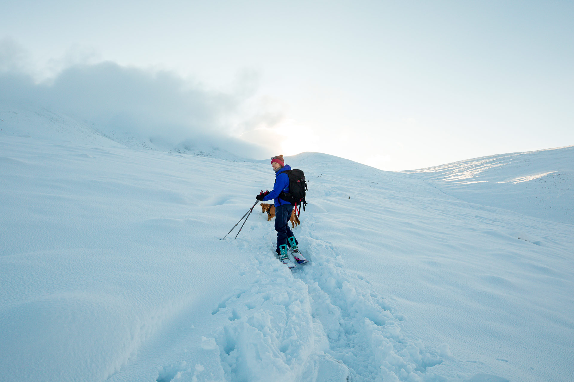 ski-touring-dogs-uk-hannah-bailey