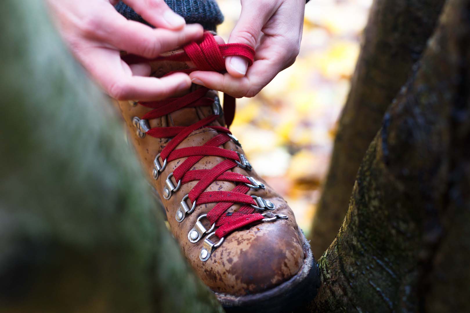 Danner Mountain Light