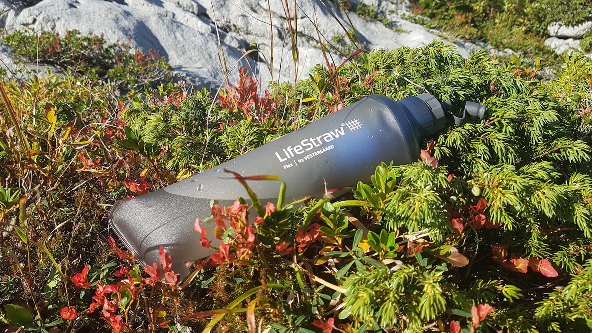 Katadyn BeFree Versus Lifestraw Flex | Water Filters