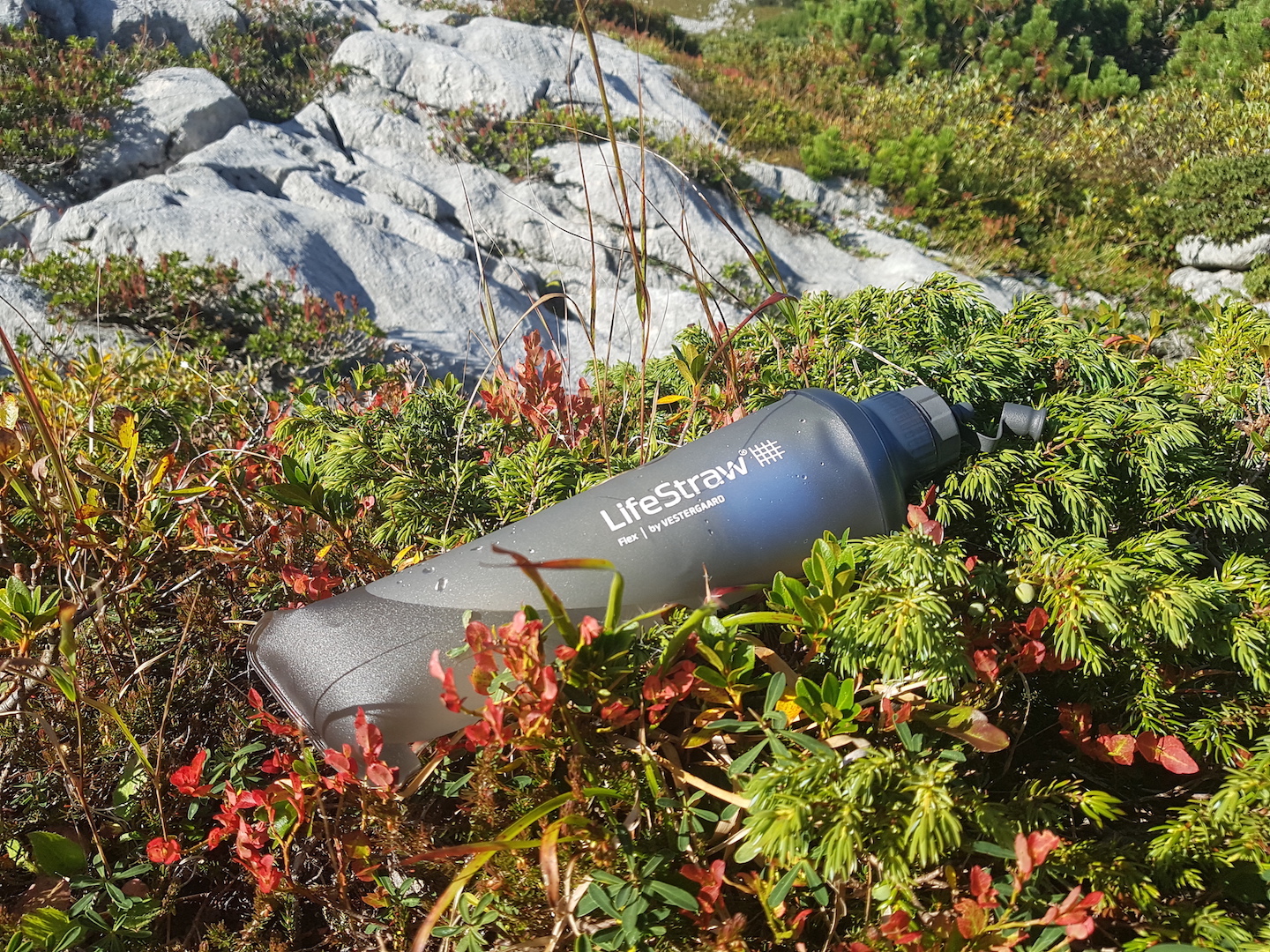 bw-lifestraw