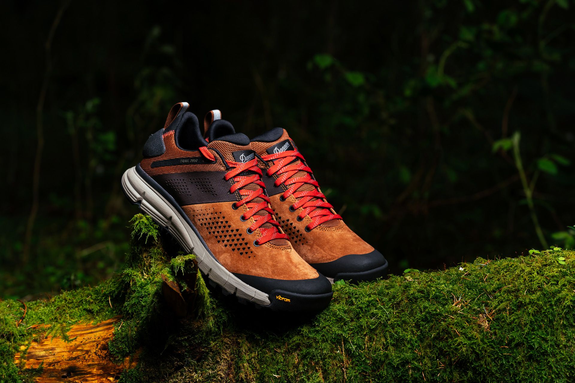 Best Walking Shoes Reviewed 2020 Danner Trail 2650