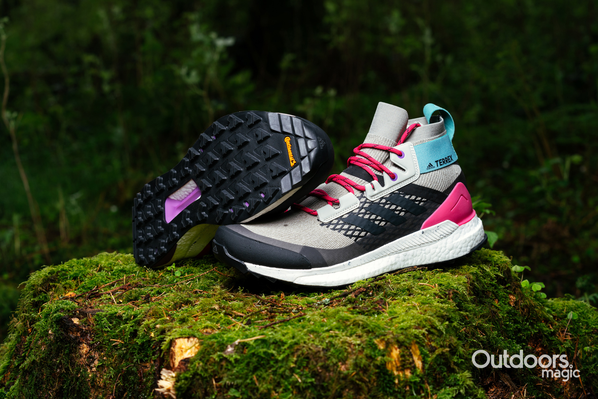 Best walking shoe Adidas Terrex Free Hiker