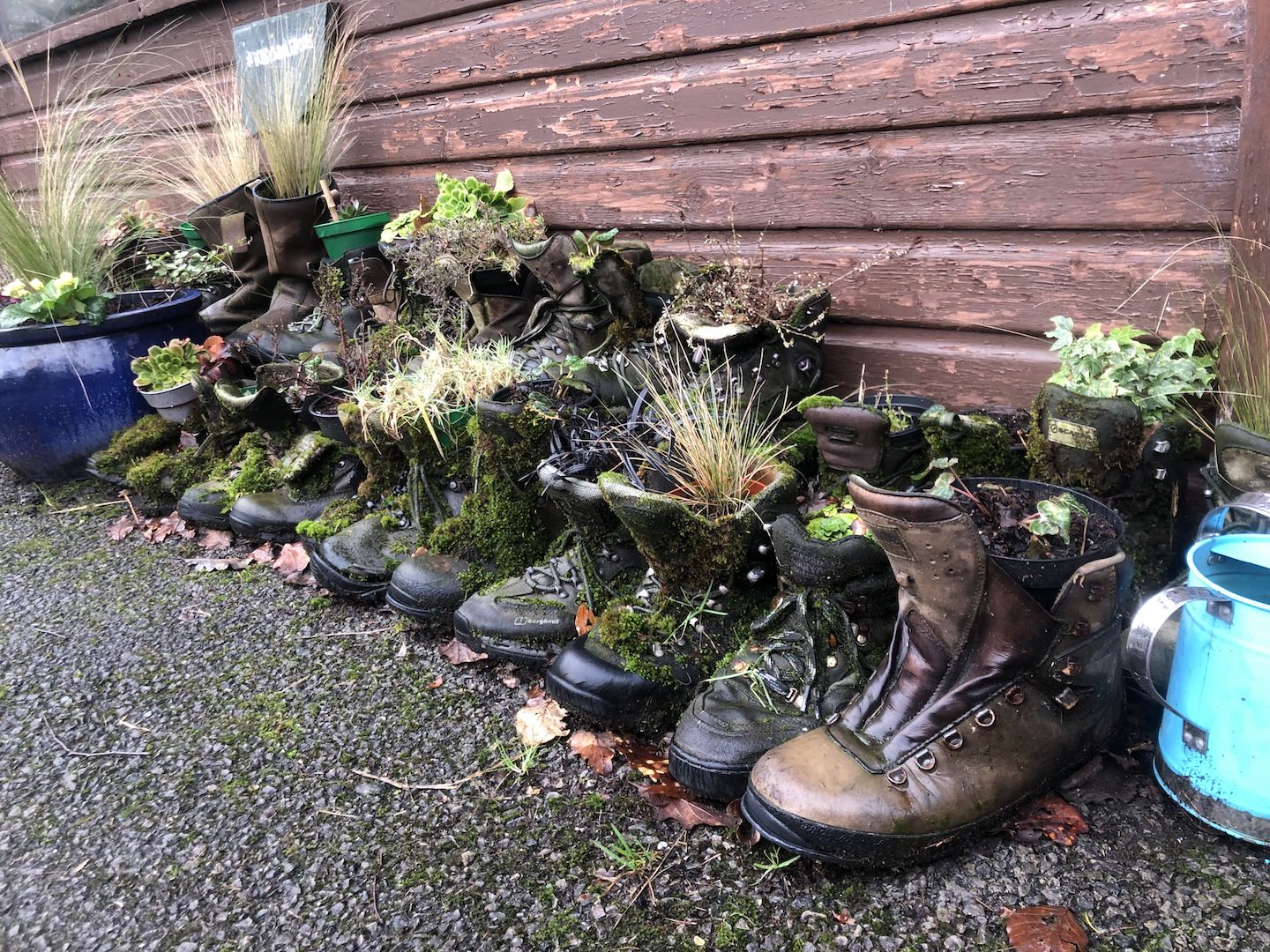 The boot garden approach. Photo: Sarah Ryan