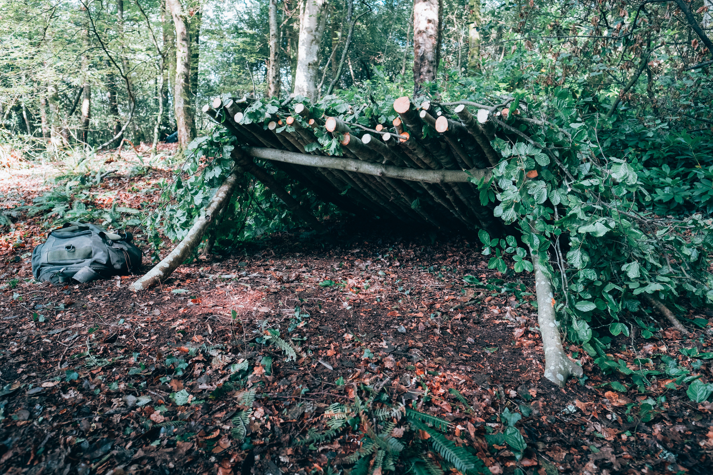 how to build a shelter