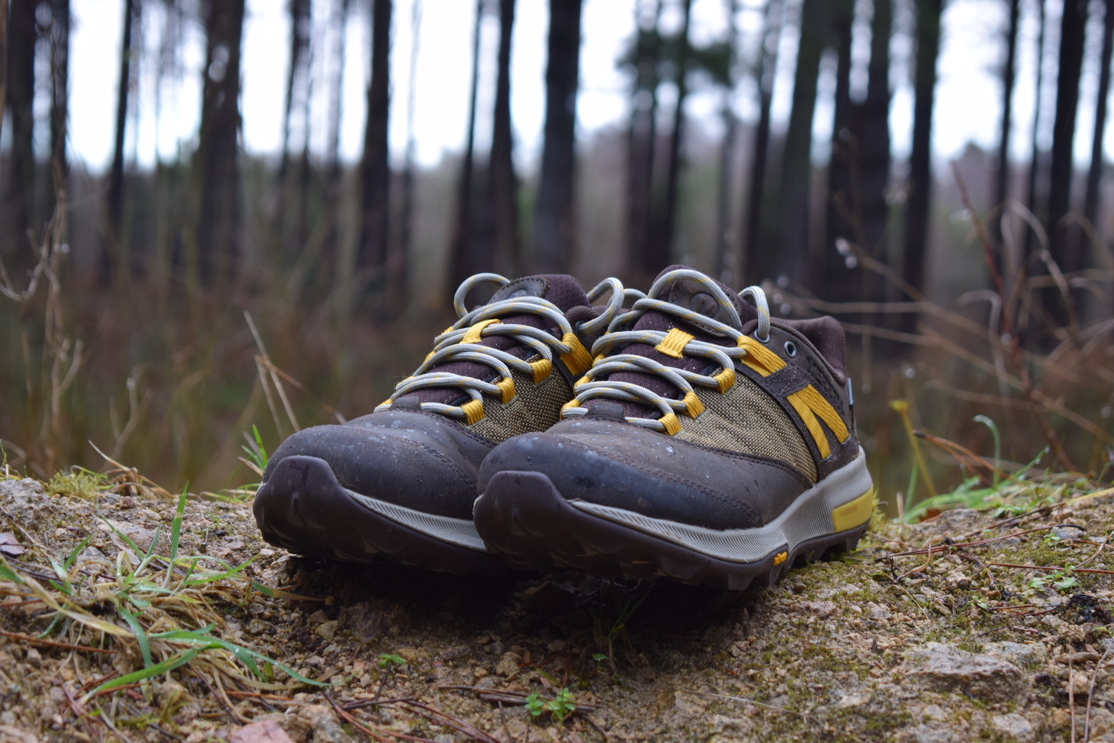 Merrell Zion GTX Shoe | Review