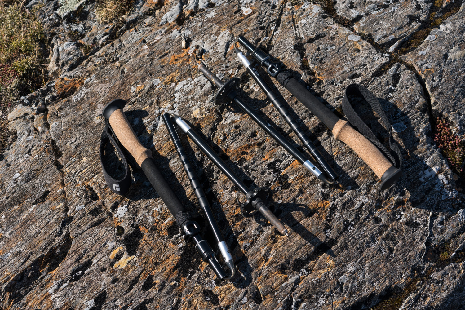 Best Trekking Poles - Black Diamond Alpine FLZ Z