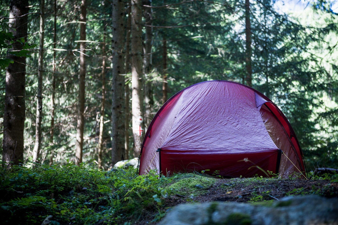 best backpacking tents Nordisk Telemark 2