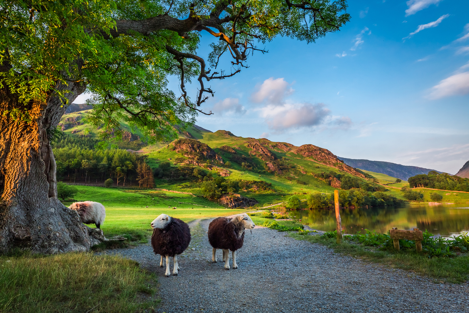 The Best Long-Distance Walks In The UK | Cumbria Way