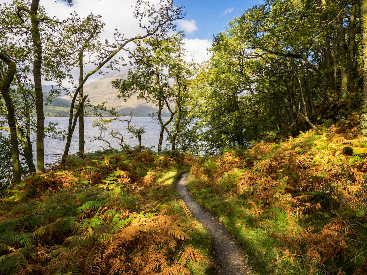 The Best Long-Distance Walks In The UK | West Highland Way