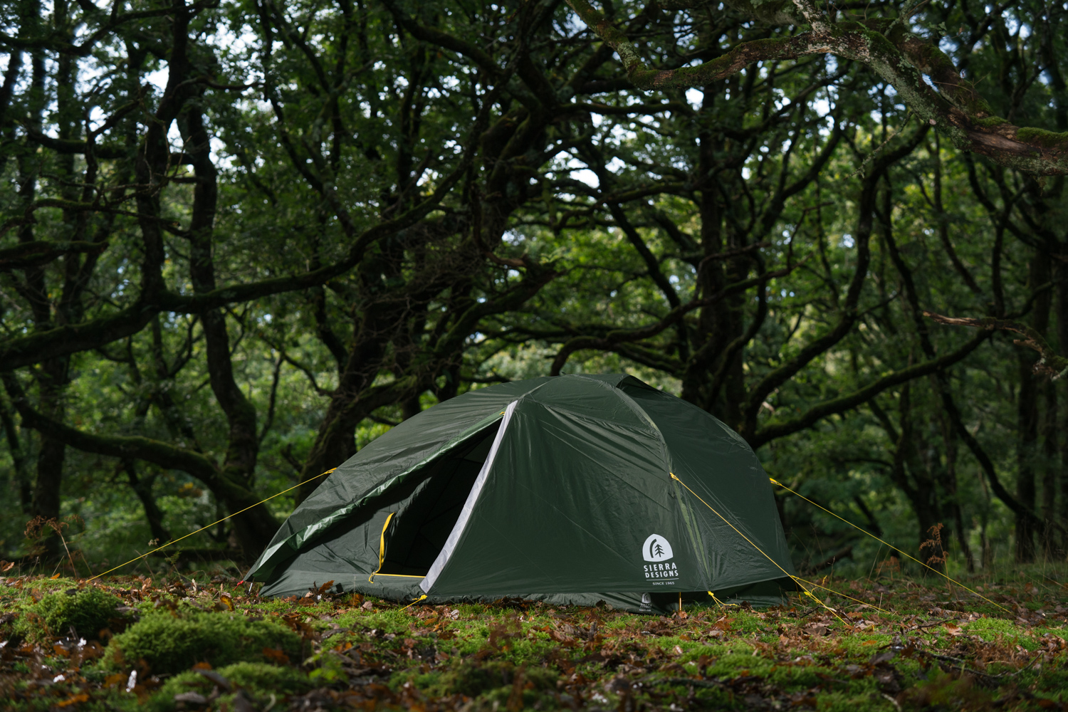 Sierra Designs Meteor 4 3-Season Backpacking and Camping Tent 