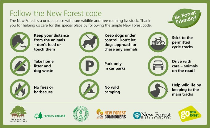 New Forest Code 2020