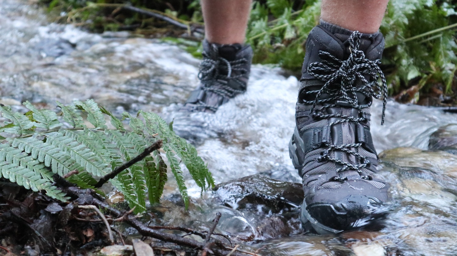 best walking boots: Salomon Quest 4 GTX