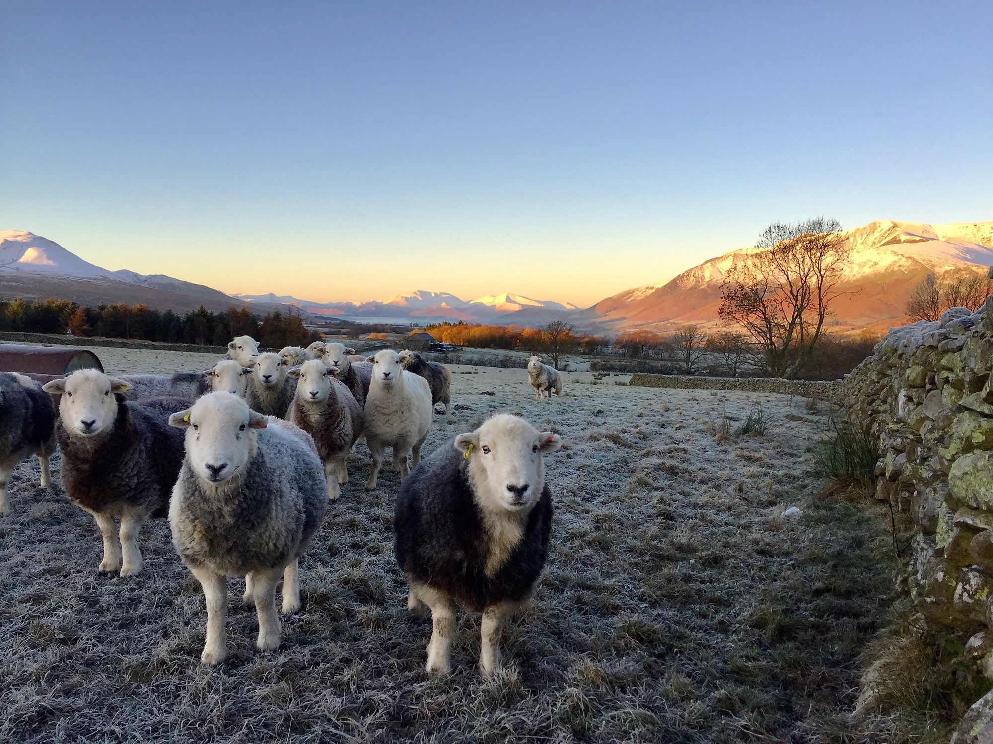 Best Campsites In The UK: Gill Head Farm, Cumbria