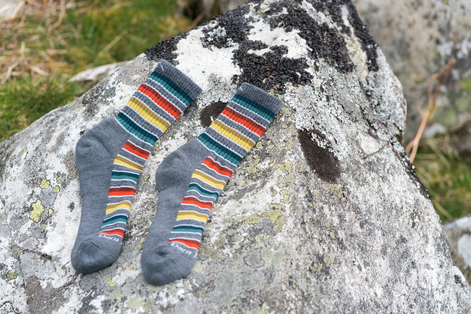 Darn Tough Decade Stripe Micro Crew Cushion Socks Review