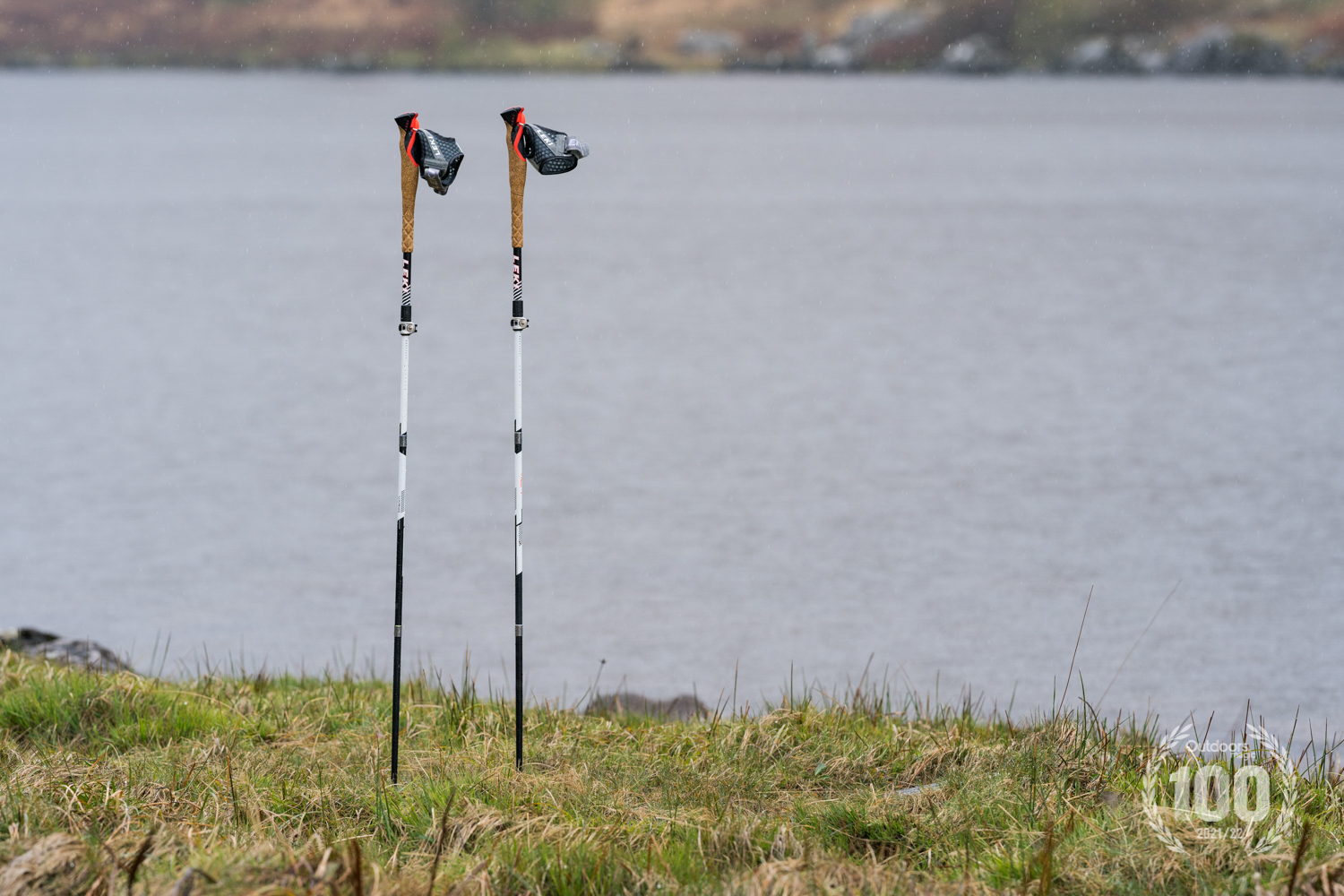 Leki MCT 12 Vario Carbon Poles Review