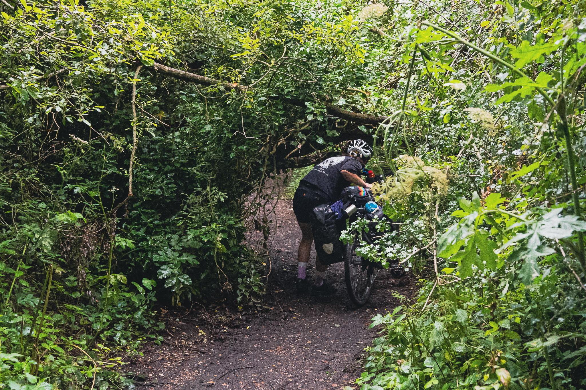 King Alfred's Way: Bikepacking Around Historic Wessex