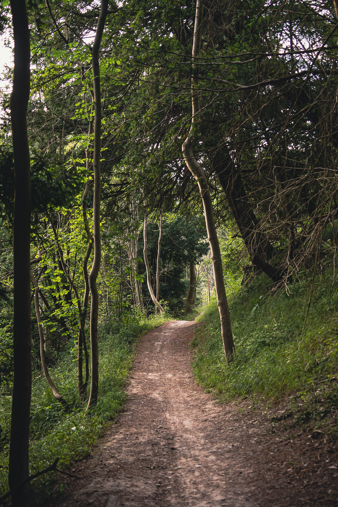 King Alfred's Way: Bikepacking Around Historic Wessex