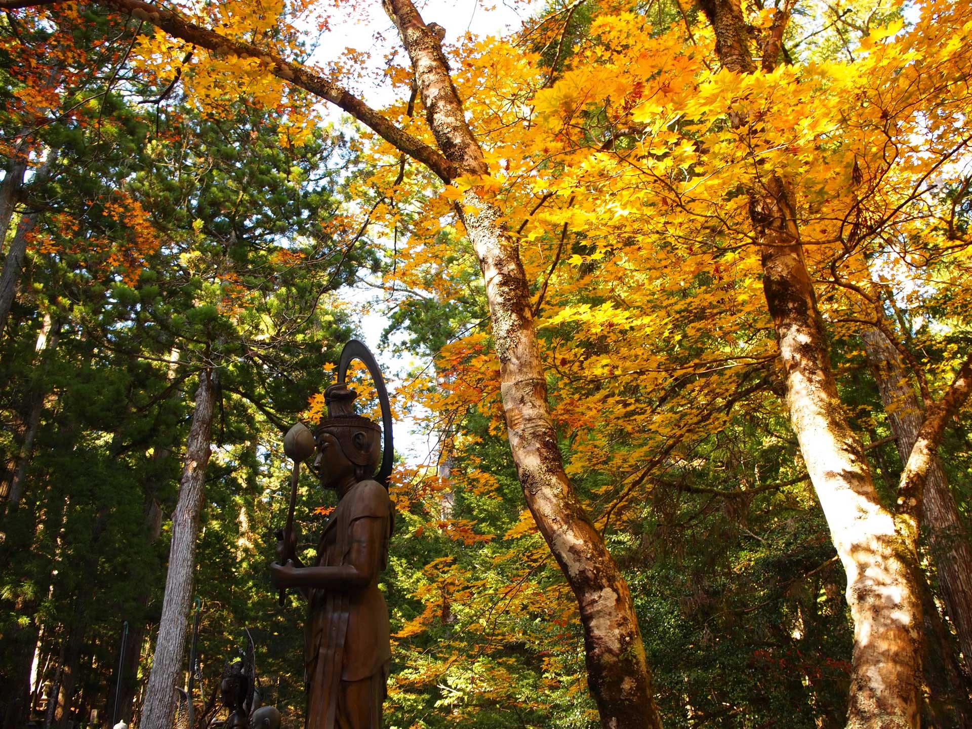 Japan’s Famous Pilgrimage Route | Where To Go