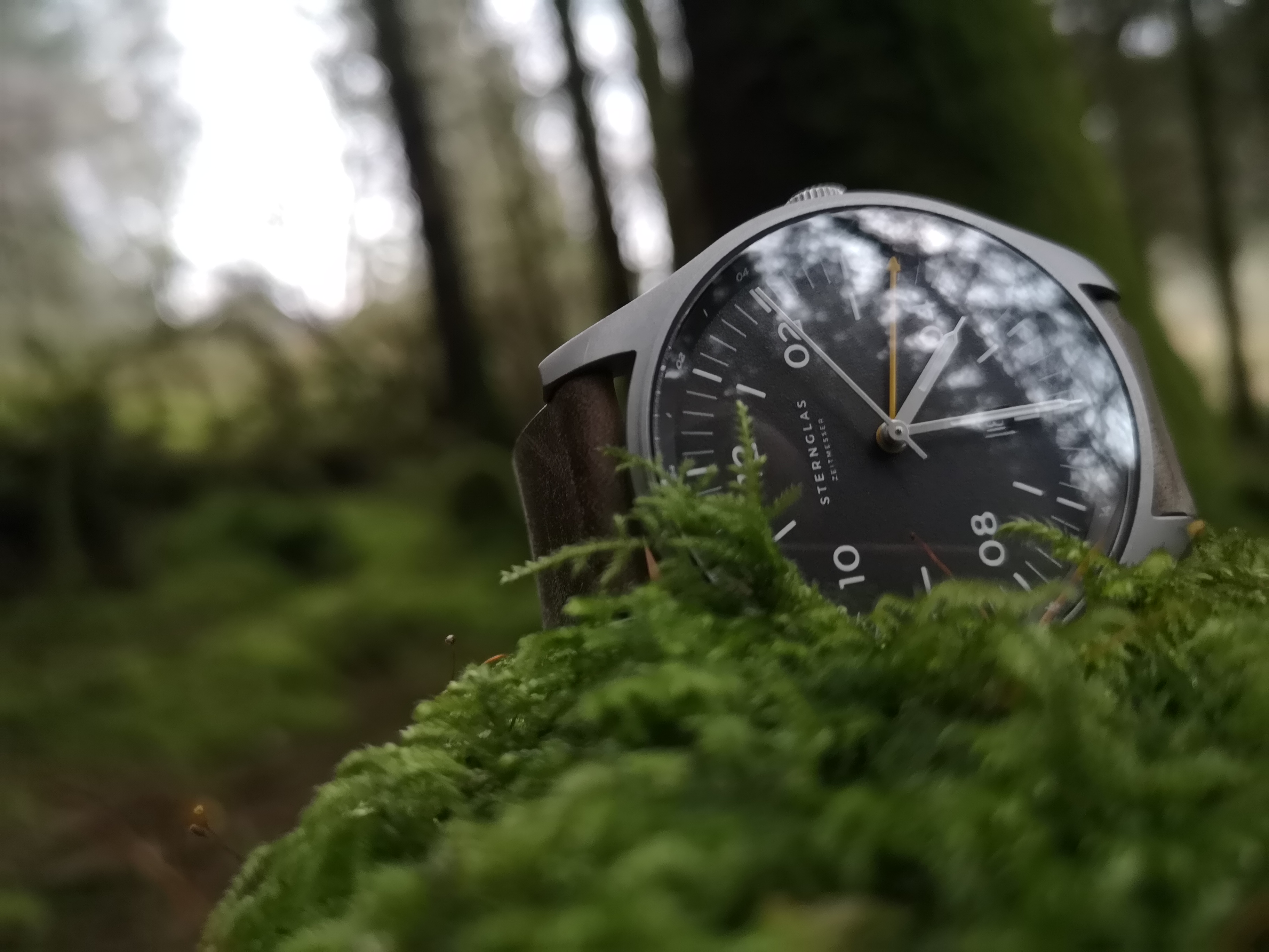 Sternglas Taiga GMT Field Watch | Review