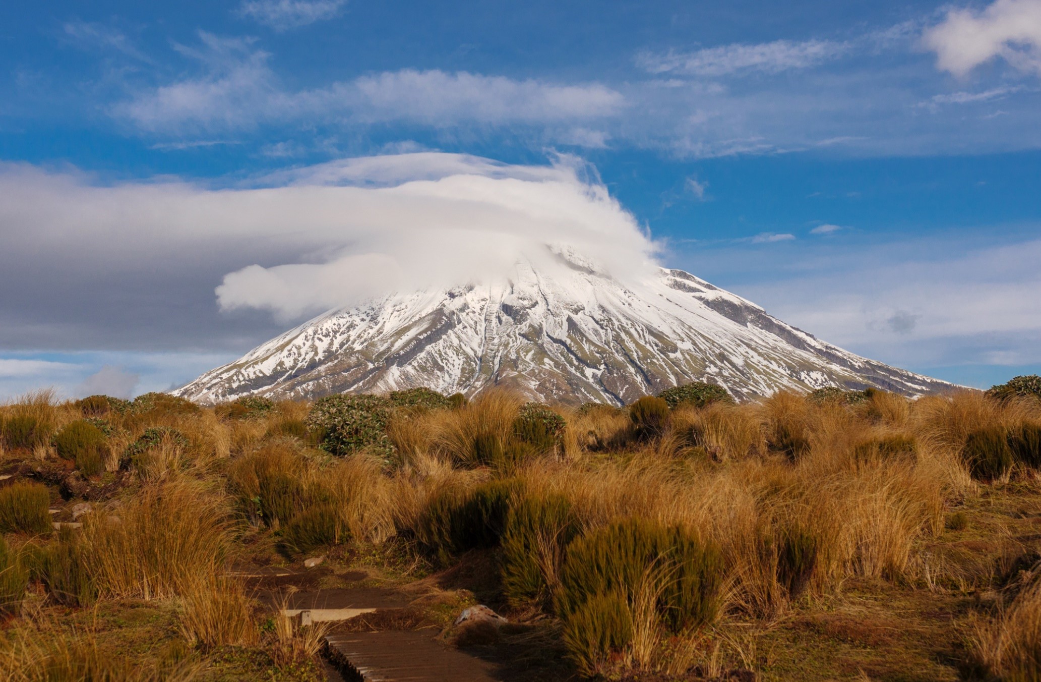 NEW ZEALAND MOUNT DOOM TRAIL RUNNING