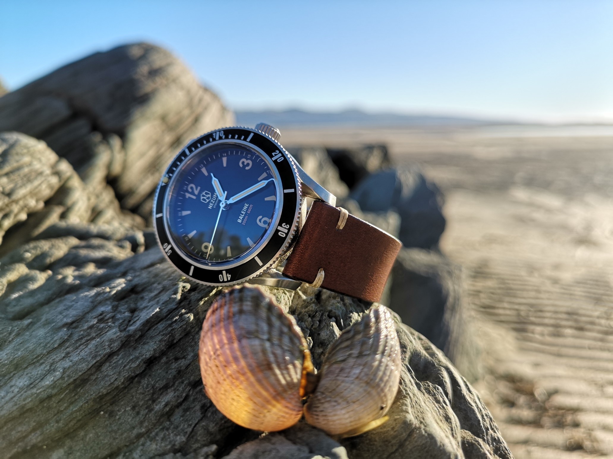 Nezumi-Baleine-Dive-Watch review