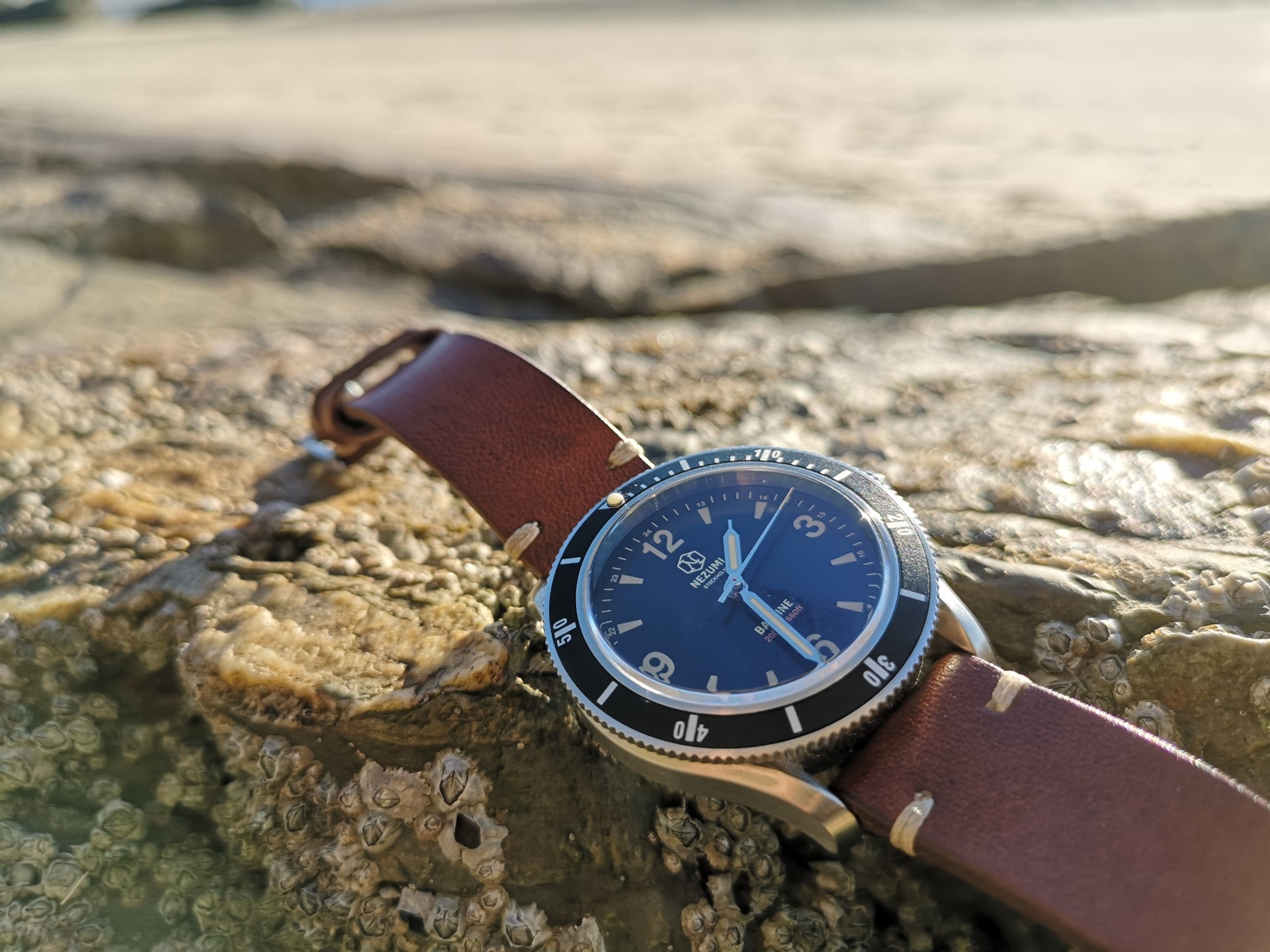 Nezumi-Baleine-Dive-Watch review