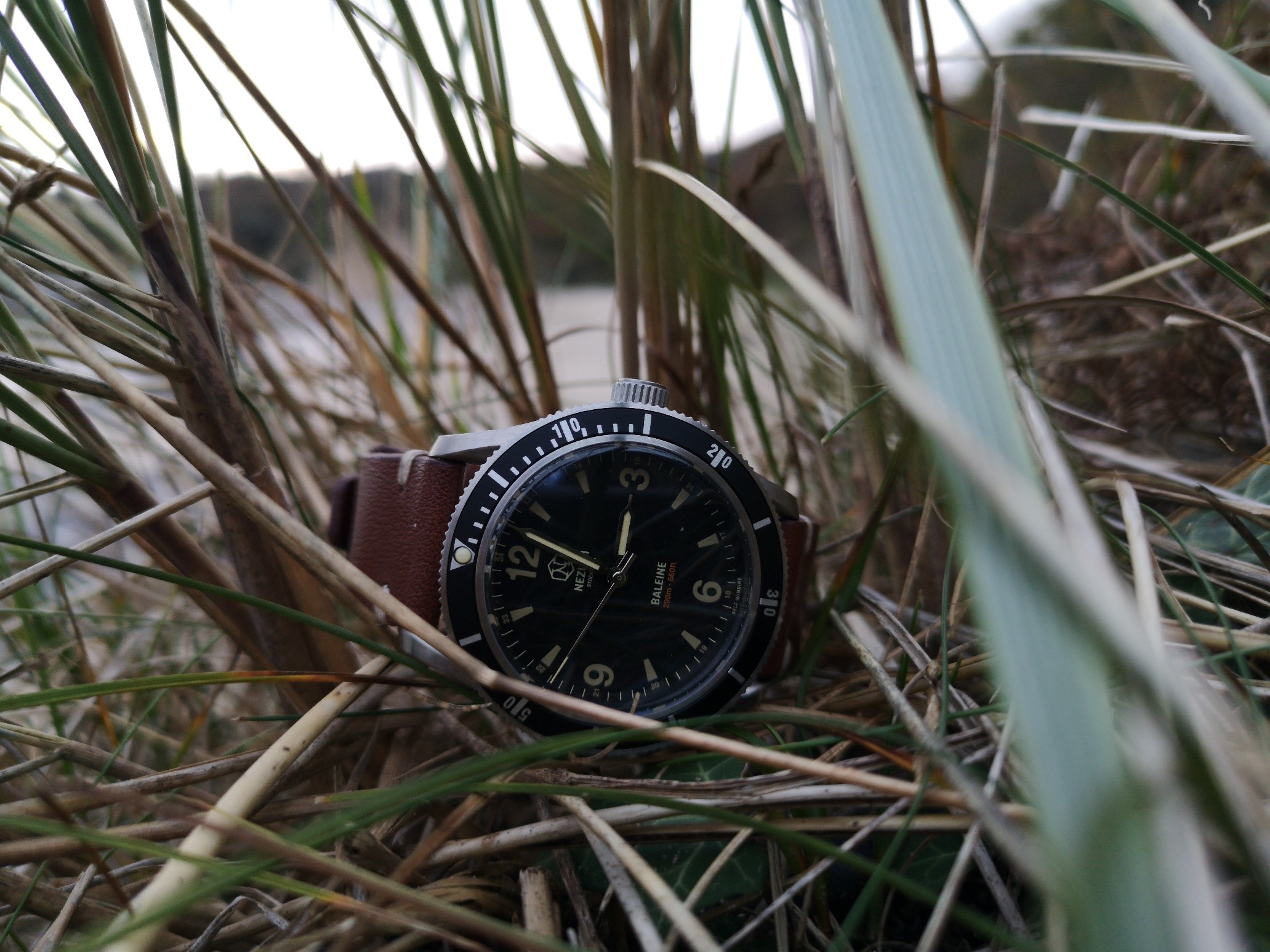 Nezumi-Baleine-Dive-Watch review