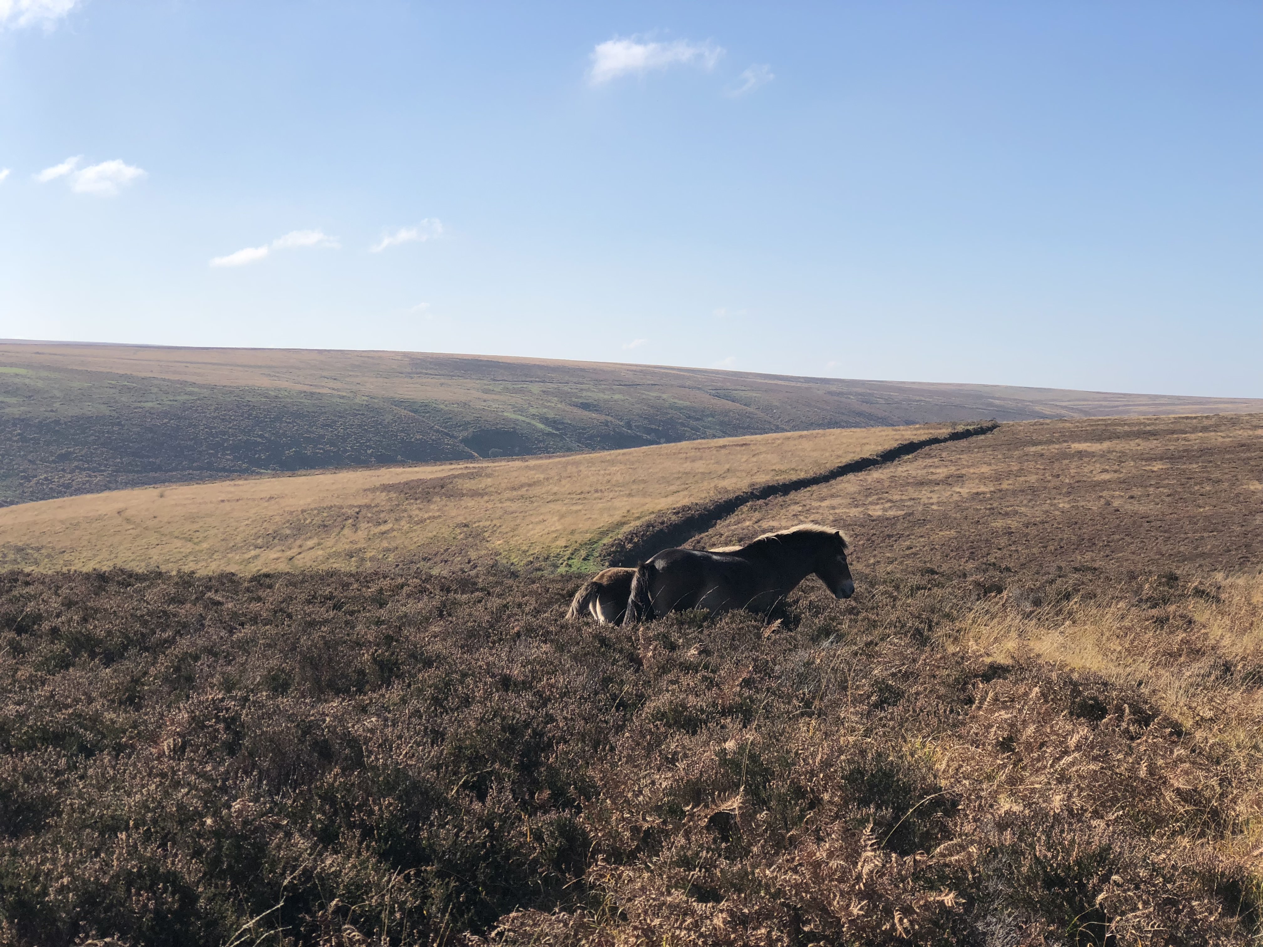 lorna doone valley exmoor walking