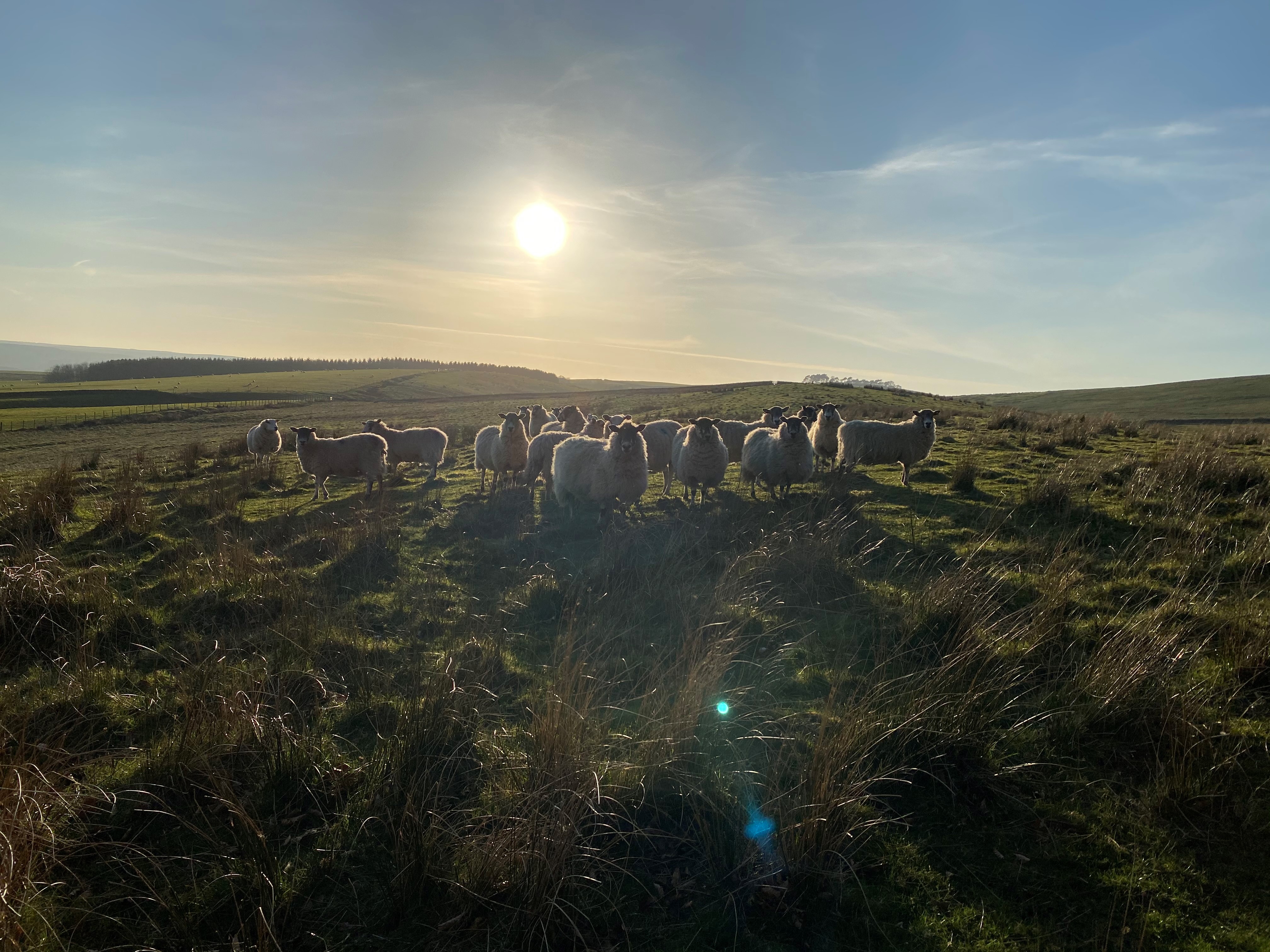 Cheviots best off road mountainbiking routes 2