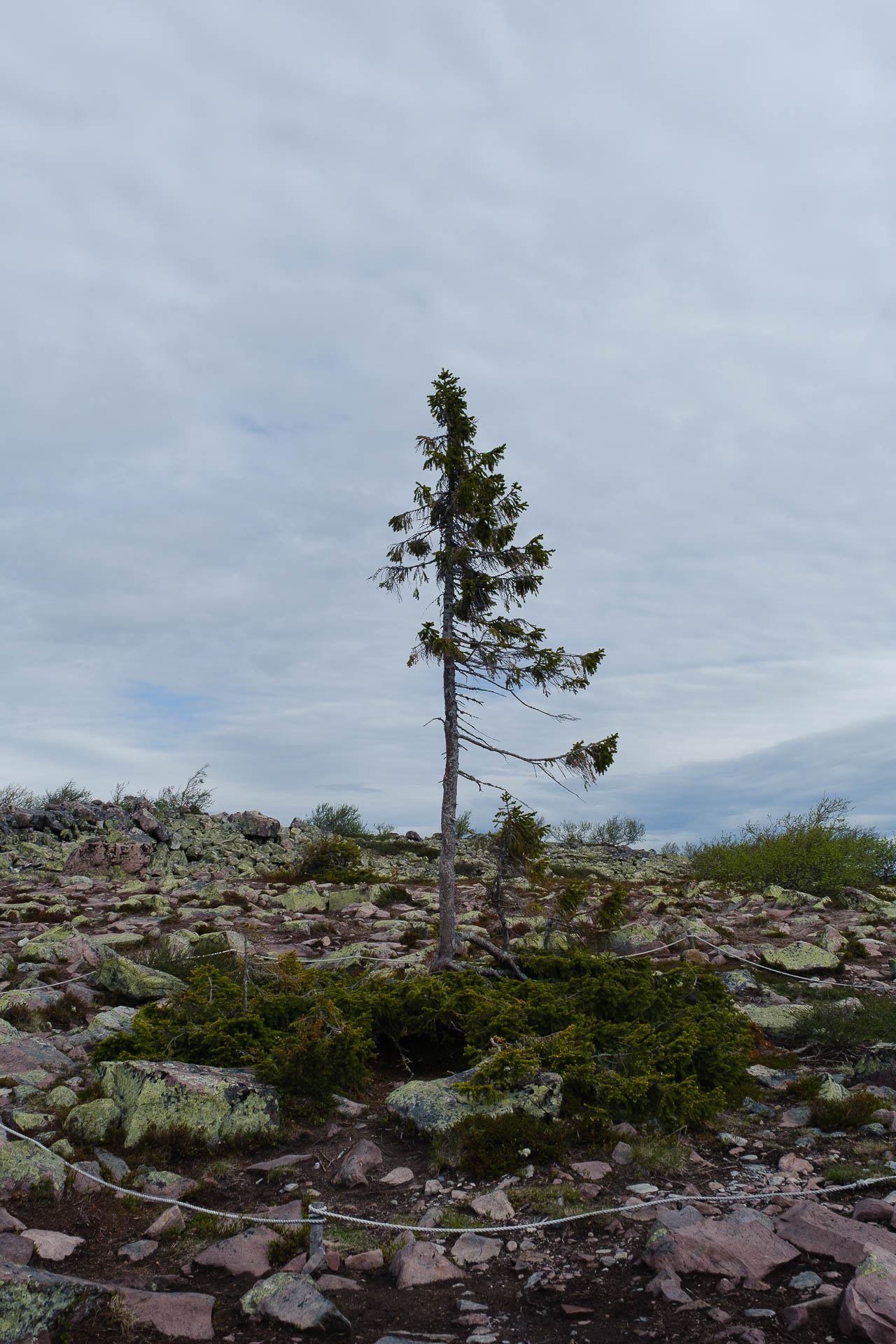 Fulufjallet National Park: A hiker