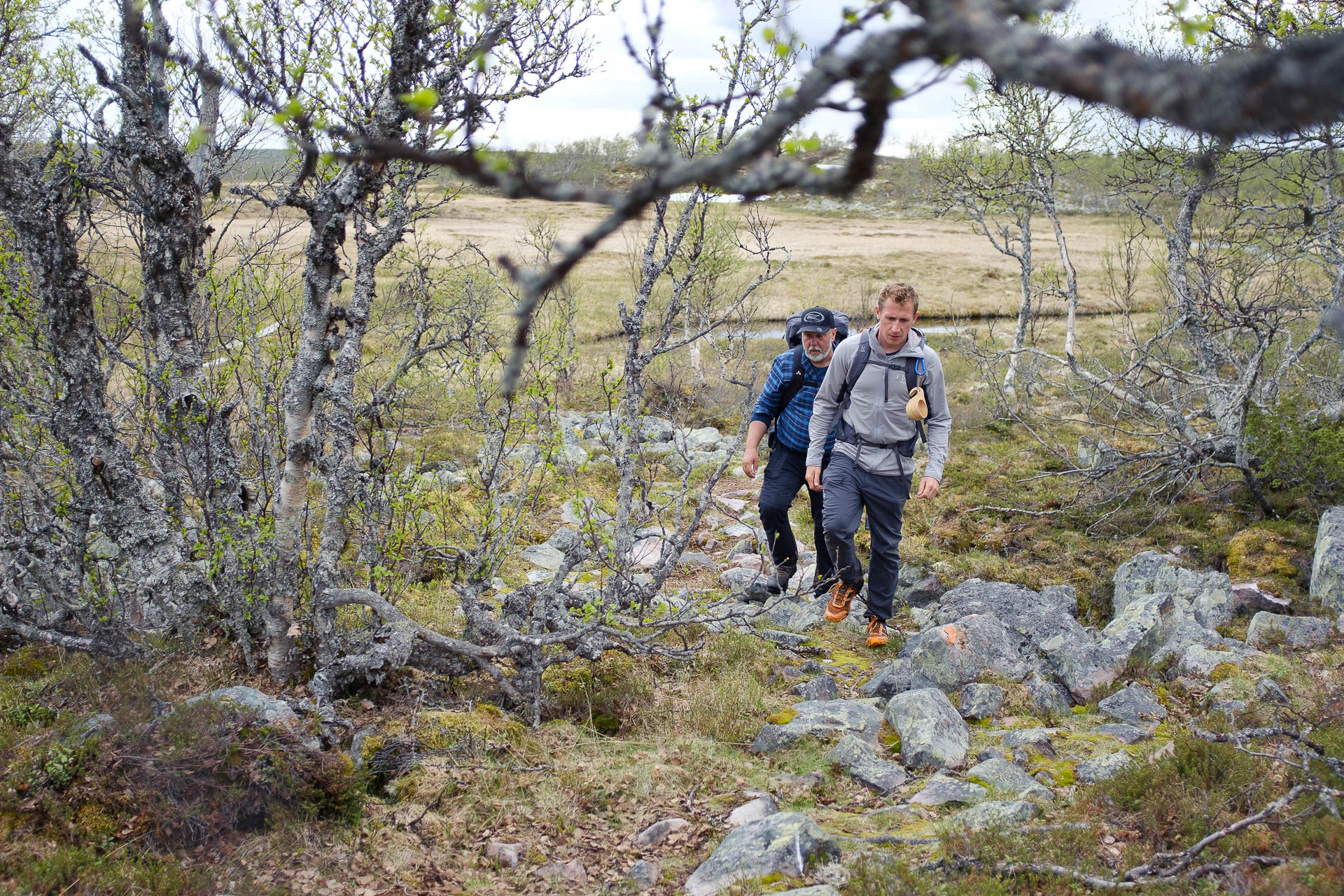 Fulufjallet National Park: A hiker