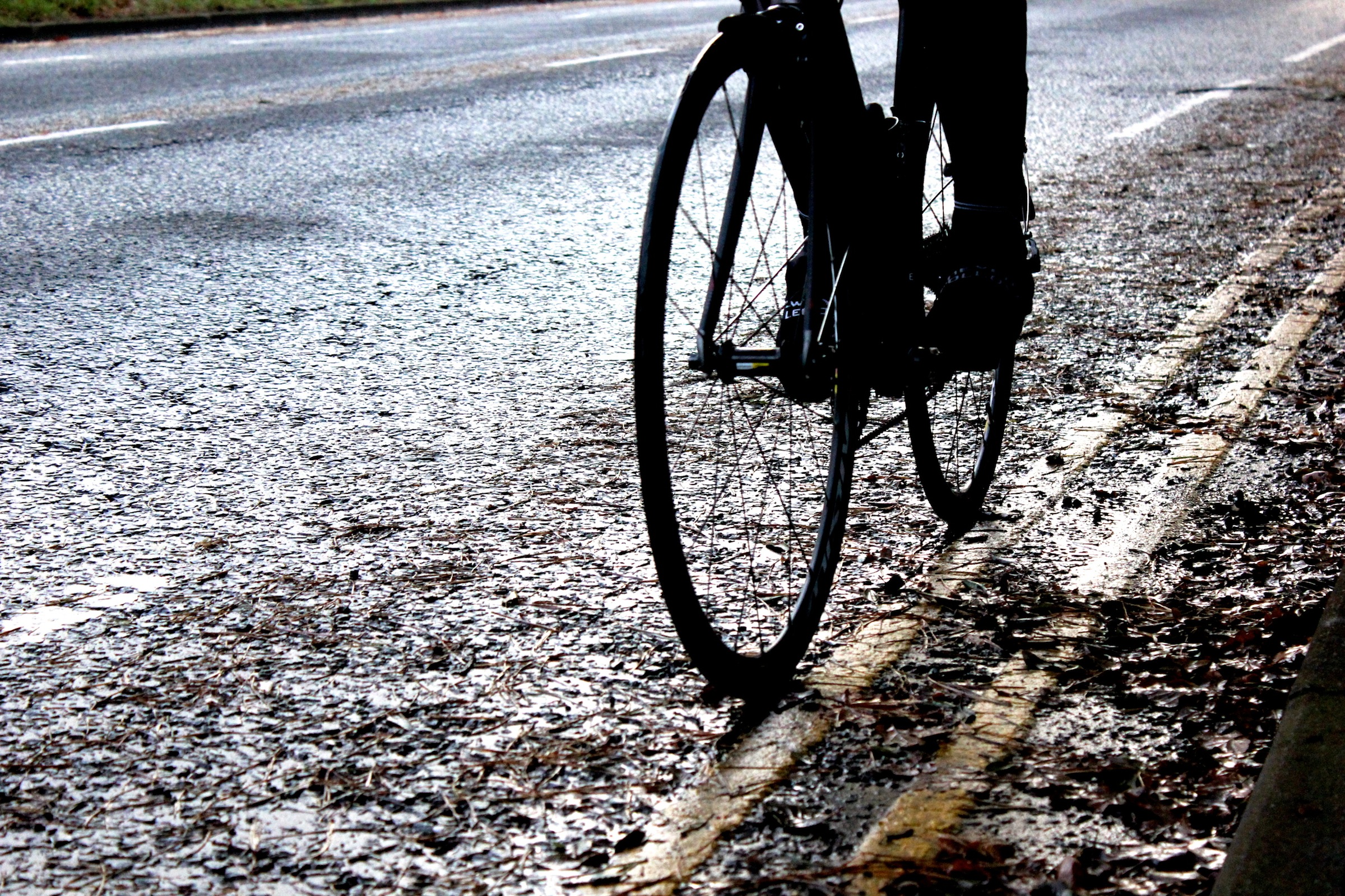 Wet road, pine needles, pic: Timothy John, ©Factory Media